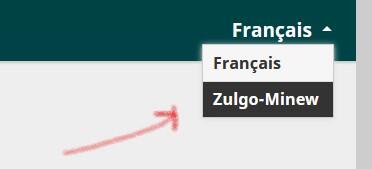 sélecteur de langue